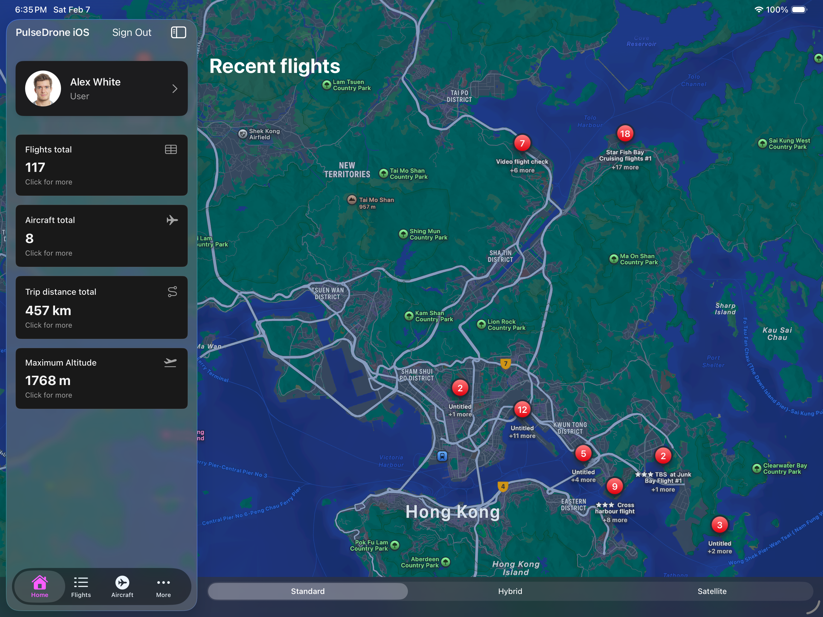PulseDrone harbour flight screenshot